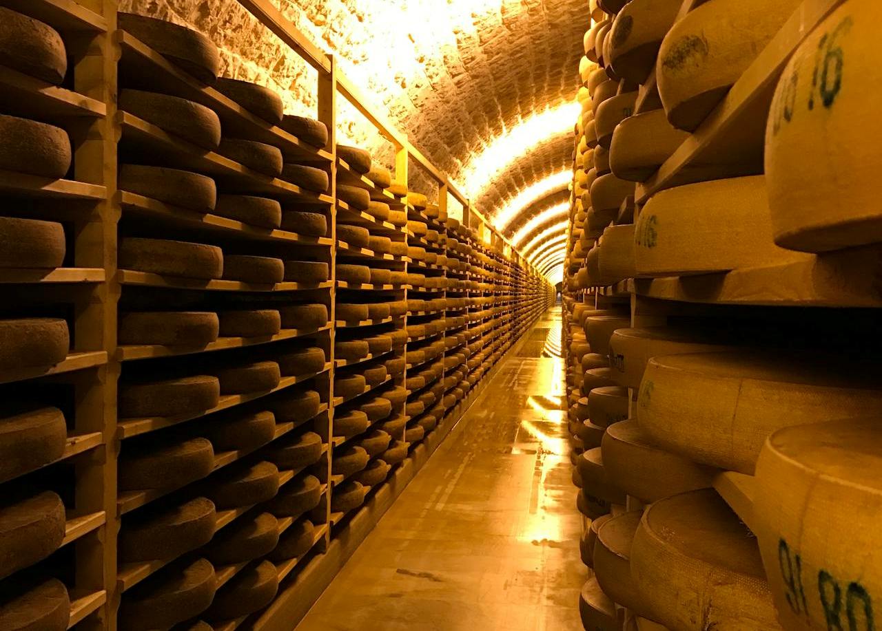 cheese on racks for ageing